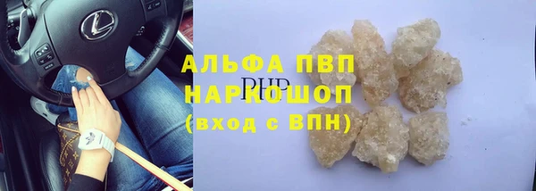 стафф Белокуриха