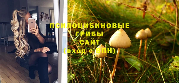 стафф Белокуриха