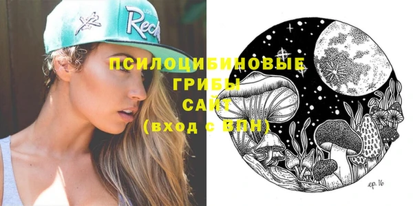 стафф Белокуриха