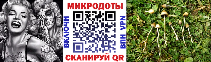 блэк спрут сайт как найти закладки Санкт-Петербург Галлюциногенные грибы мицелий
