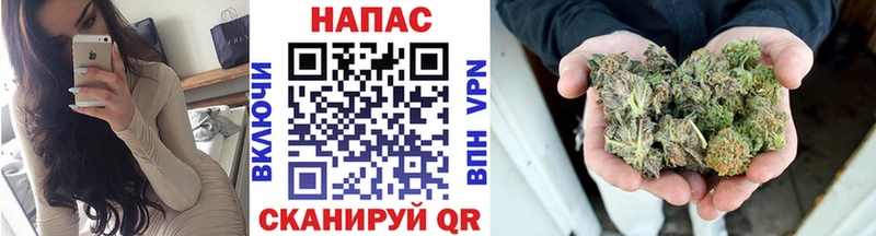 гидра зеркало  Санкт-Петербург  МАРИХУАНА сатива 
